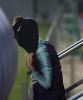 Файл=img_ppunti_20181030-183018_imagenes_md_propias_ppunti_181030fcb2041-kj3--980x554@MundoDeportivo-Web.jpg
Объём=22KB
Размеры=463x554
Дата=Окт 31, 2018 img_ppunti_20181030-183018_imagenes_md_propias_ppunti_181030fcb2041-kj3--980x554@MundoDeportivo-Web.jpg